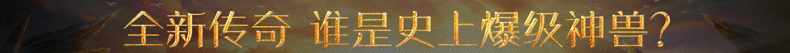 经济市场汇